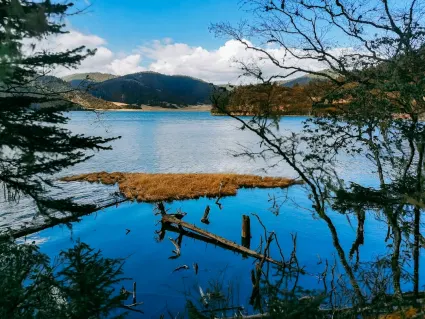 77spins Casino Mobilna aplikacija